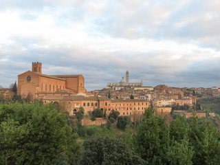 Fototapeta na wymiar Siena, View of the city centre