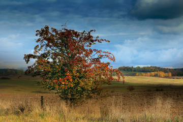 Jesienna Warmia © Wojciech Lisiński