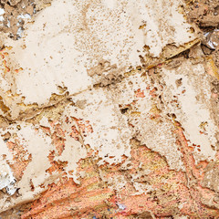 Paper eaten by termite