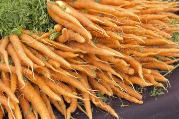 Organic Carrots