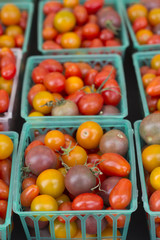 Assorted Color Tomatoes