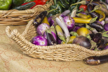 Heirloom Variety Eggplant