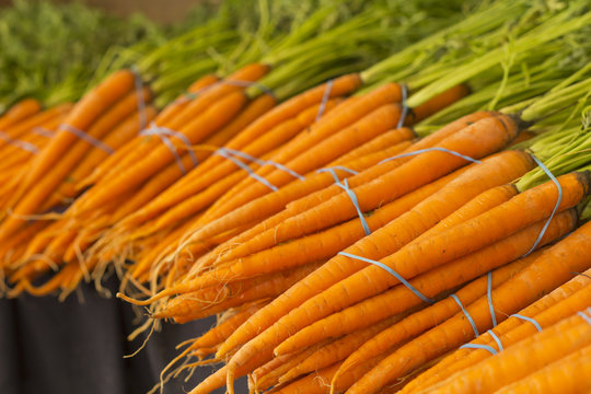 Organic Carrots