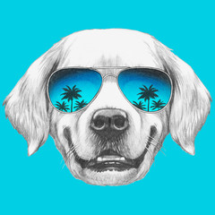 Portrait of Golden Retriever with mirror sunglasses. Hand drawn illustration.