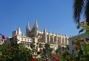Majorca cathedral