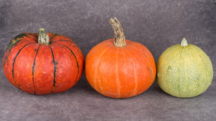 pumpkins