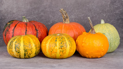 pumpkins