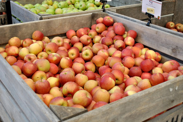 Apples at the Market