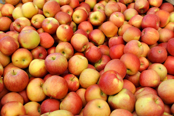Apples at the Market