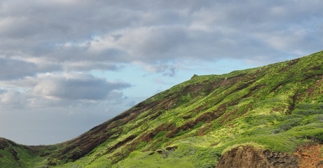 Panorama of Lava Hills Covered with Tropical Growth in Hawaii