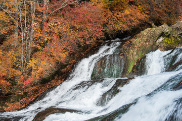 Obraz premium 錦秋の日光竜頭の滝