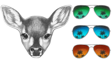 Portrait of Fawn with mirror sunglasses. Hand drawn illustration.