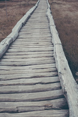 Fototapeta premium wooden path in natural national park