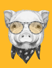 Portrait of Piggy with scarf and glasses. Hand drawn illustration.