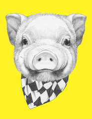 Portrait of Piggy with scarf. Hand drawn illustration.