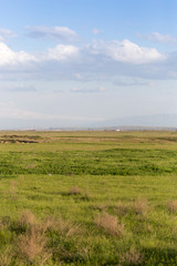 Spring in the steppes of Kazakhstan