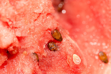 watermelon as background. close