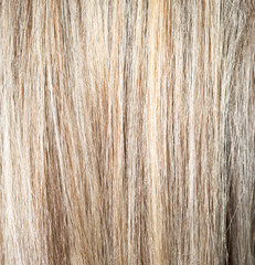 background of hair