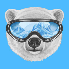 Naklejka premium Portrait of Polar Bear with ski goggles. Hand drawn illustration.