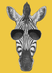 Obraz premium Portrait of Zebra. Hand drawn illustration.