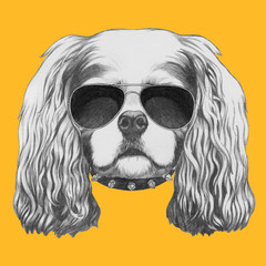 Portrait of Cavalier King Charles Spaniel with sunglasses and collar. Hand drawn illustration.