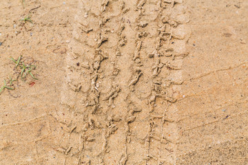 Tire tracks on dry brown yellow dirt road