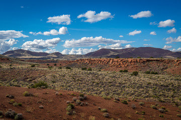 Ancient Indian Ruins