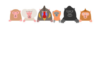 Obraz premium monkies with card, white background