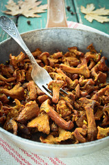 Fried Chanterelles with onions and fresh herbs in skillet