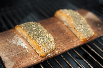 Grilled Wild Salmon