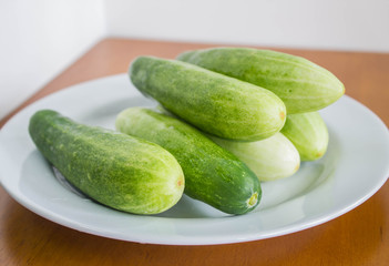 cucumber