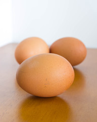 fresh eggs