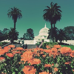 SF Conservatory of Flowers