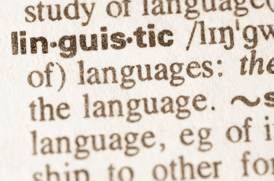 Dictionary definition of word linguistic