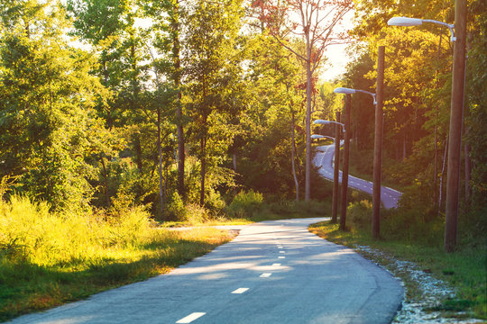 Winding Forest Path At Sunset