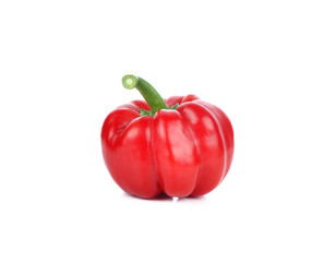 A Red paprika on white background