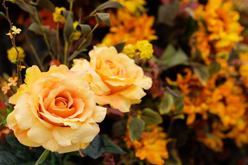 Yellow Flowers With Room For Text