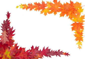 Frame of autumn leaves on a light background