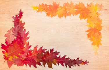 Naklejka na ściany i meble Frame of autumn leaves on a wooden surface