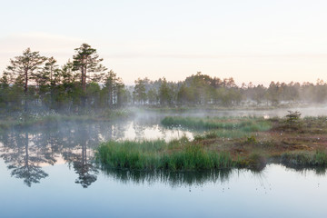 Foggy dawn on a lake