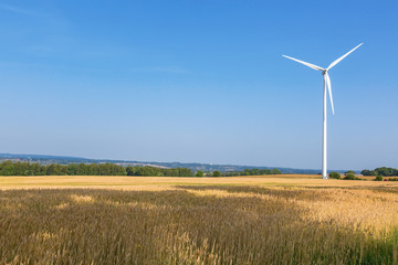 Wind mills in a cornfield in rural landscapes