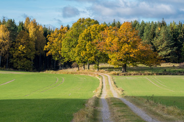 Autumn in the countryside of Vikbolandet in Sweden