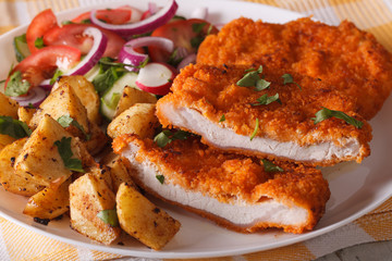 Sliced pork schnitzel, salad and fried potatoes close-up. horizontal
