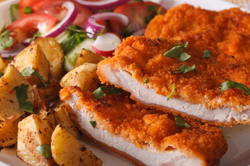 Chopped schnitzel, salad and fried potatoes close-up. Horizontal
