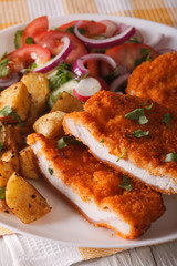 Chopped schnitzel, salad and fried potatoes close-up. vertical
