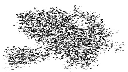 A flock of flying birds forms the witch flying on the Sabbath - part of timelapse, stop motion, gif animation