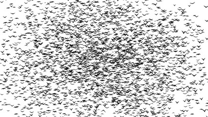 A flock of flying birds forms the witch flying on the Sabbath - part of timelapse, stop motion, gif animation