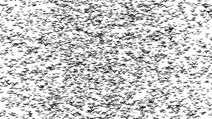A duple flock of flying birds forms the witch flying on the Sabbath - part of timelapse, stop motion, gif animation