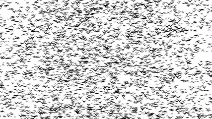 A duple  flock of flying birds forms the witch flying on the Sabbath - part of timelapse, stop motion, gif animation