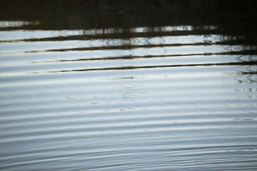 Water Patterns on Lake